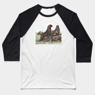 Seal and Sea Lion in the Ocean Baseball T-Shirt